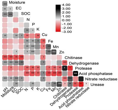 Decoding seasonal changes: soil parameters and microbial communities in tropical dry deciduous forests